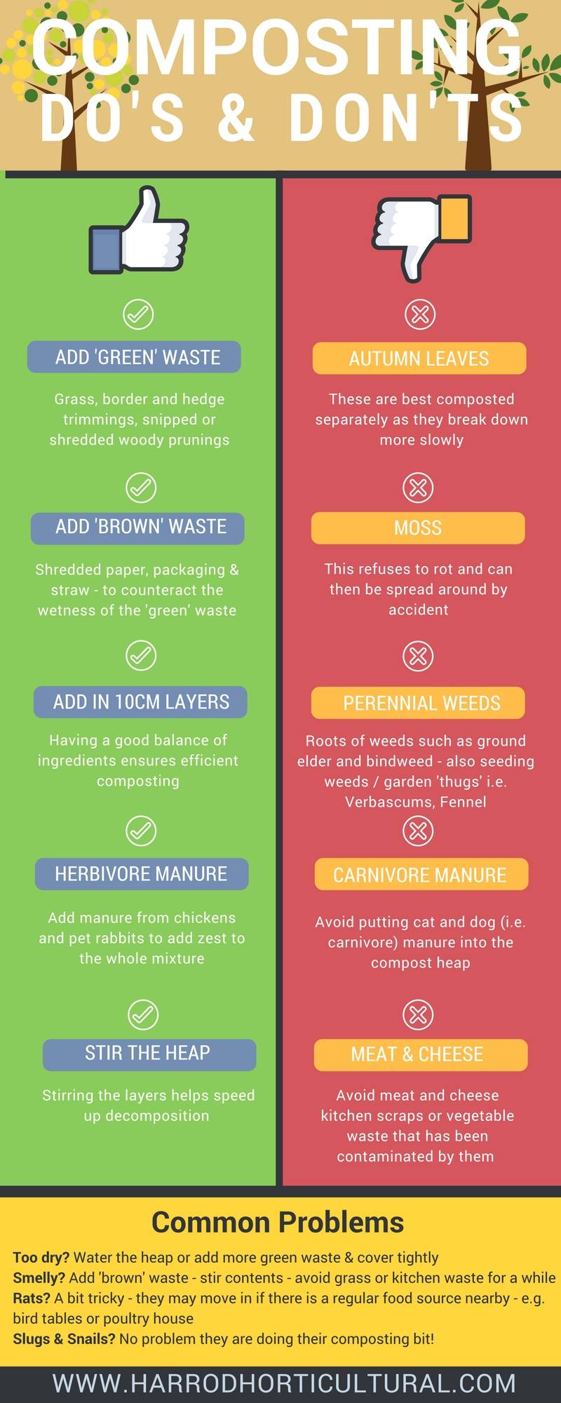 Composting Infographic 2